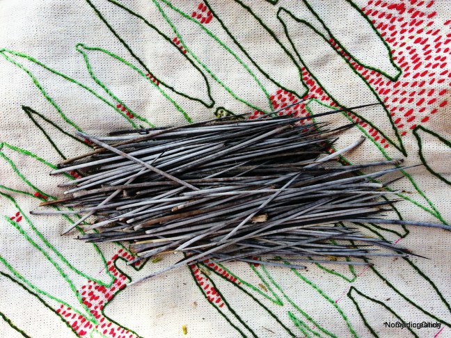 picsart_09-20-01-48-17-2