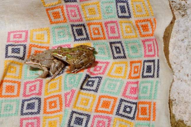 67174953_1210564792461476_1545831374907244544_n