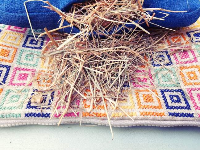 67247417_502744173849957_160086440577859584_n