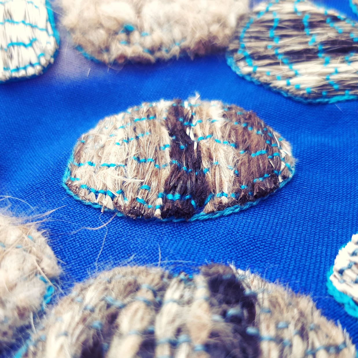 67803226_2163487327276623_8161749090145665024_n