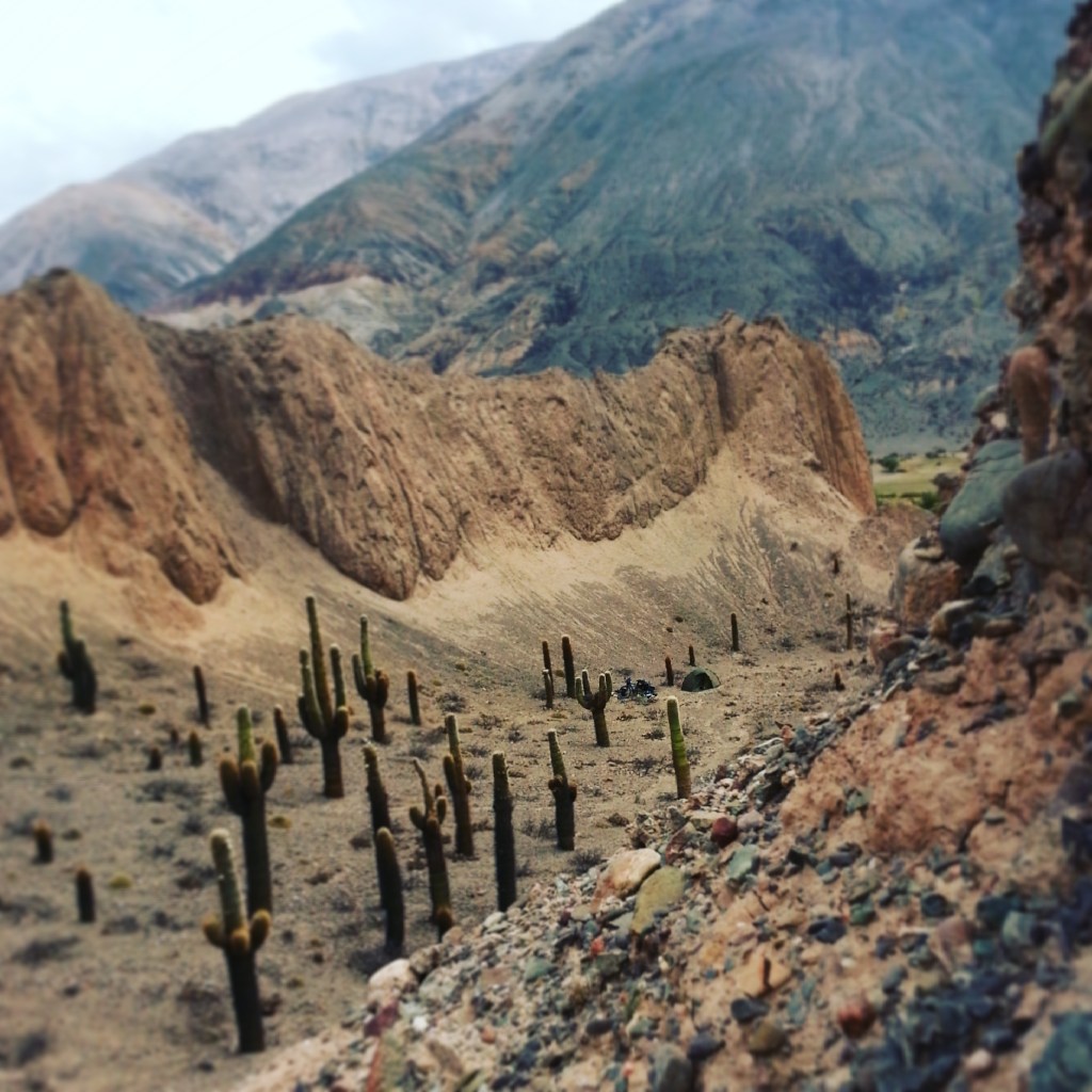 ddone IMG_20161118_185804