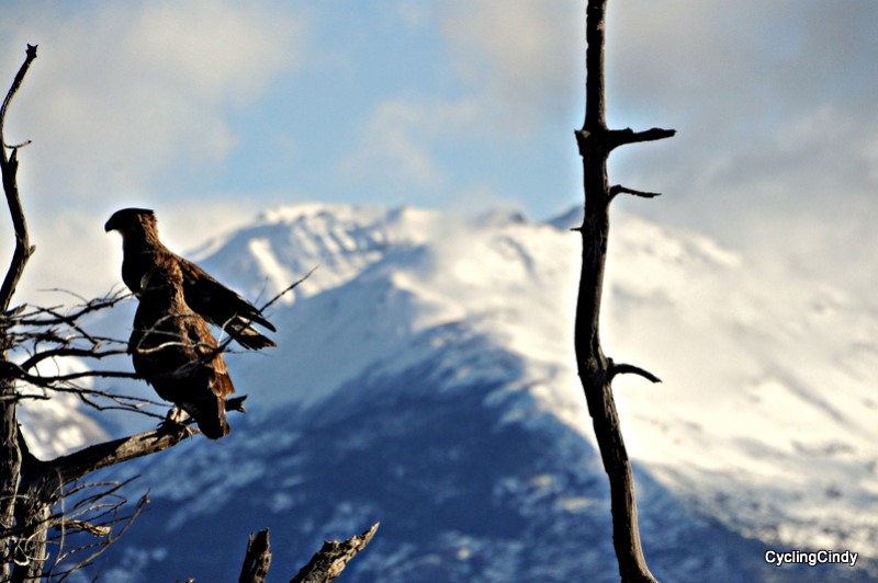 done 2017-04-12-08-26-53