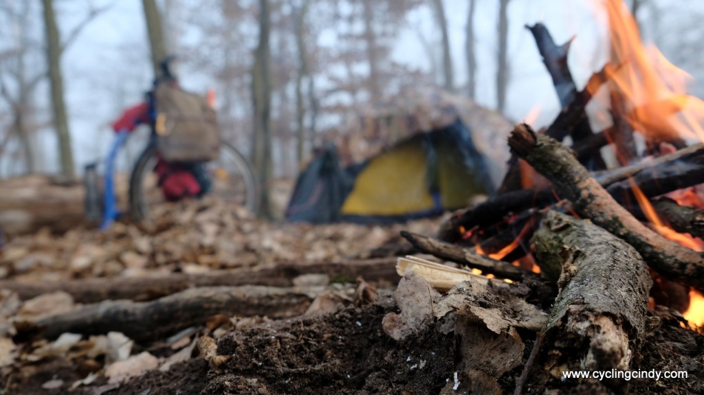 Nature is a necessity: its abundance and blooming is food for the soul.