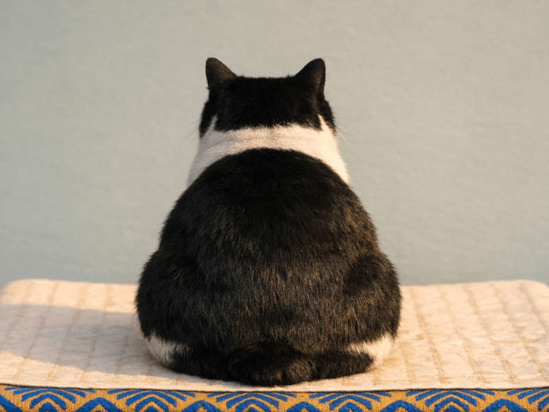 Little loss brings&nbsp;forth